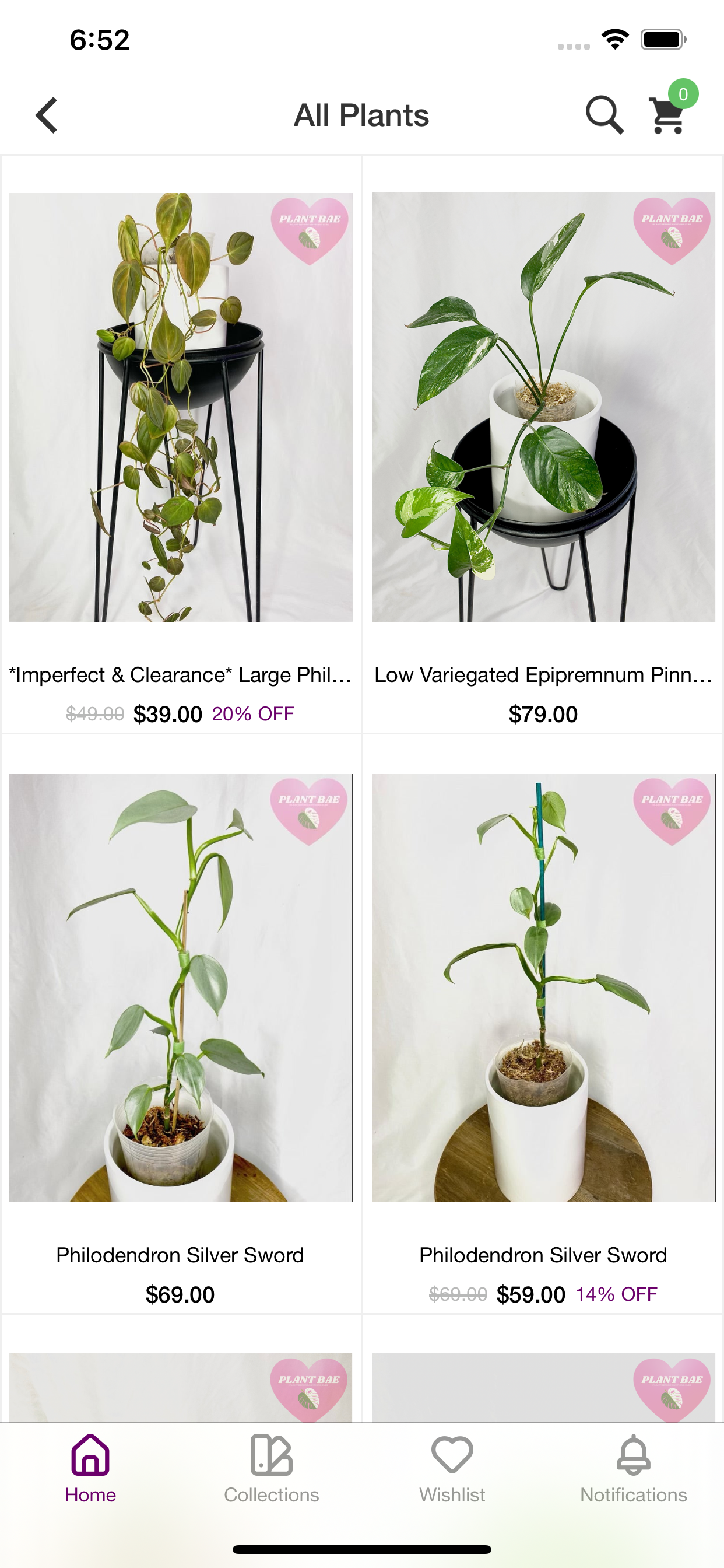 Plant Bae TX