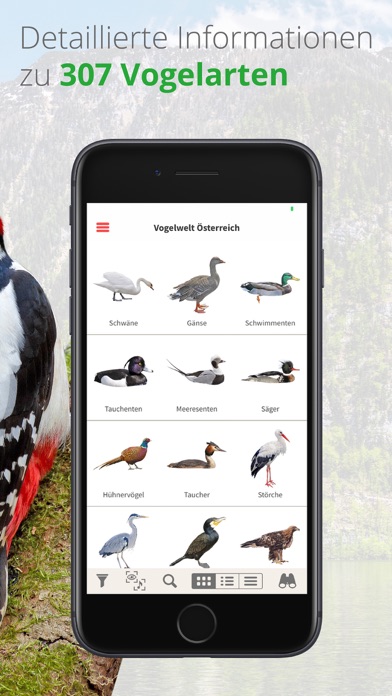 Vögel in Österreich Screenshot