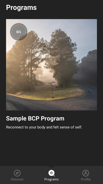 The BCP Screenshot