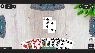 Whist Cards Screenshot