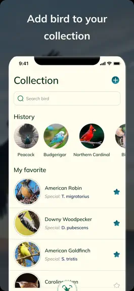 Game screenshot Bird Detect mod apk