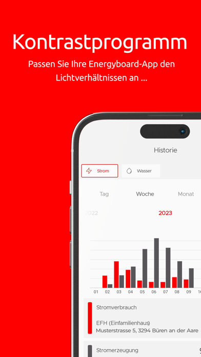 ENERGIEBOARD BÜREN Screenshot