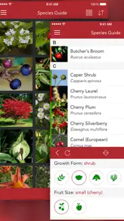 wild berries and herbs 2 pro problems & solutions and troubleshooting guide - 4