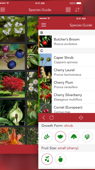 Wild Berries and Herbs 2 PRO Screenshot