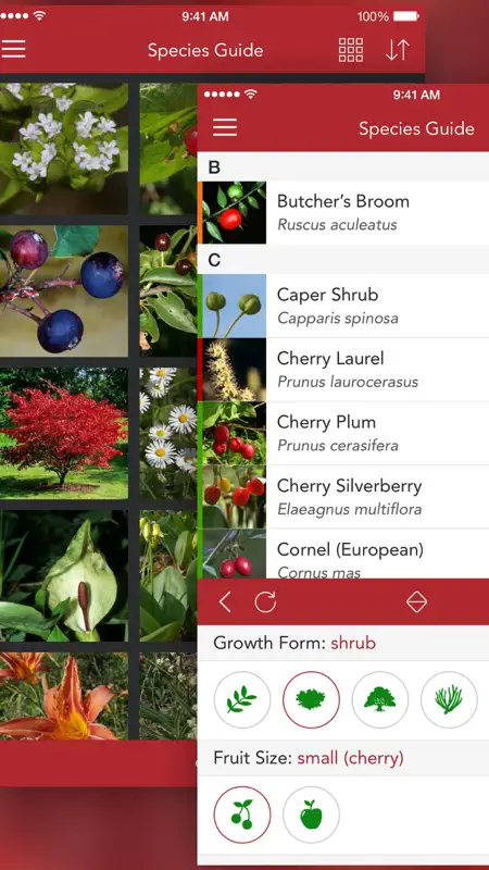 Wild Berries and Herbs 2 PRO screenshot 3 of 7