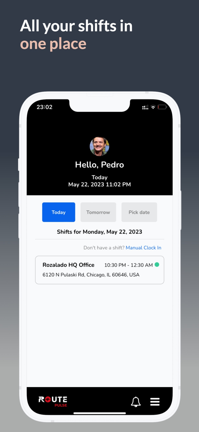 Route Pulse Cleaning Software