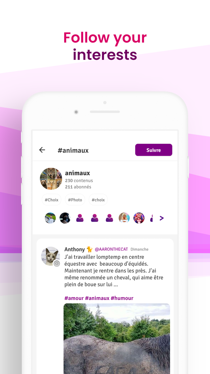 Sondago - Make new friends