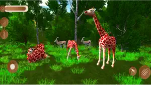 Wildlife Giraffe Safari Game screenshot 1