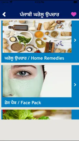 Game screenshot Punjabi Home Remedies Guide apk