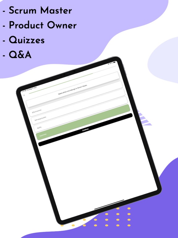 Scrum Certification Tests