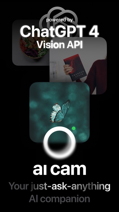 AI Cam – Ask Vision GPTのおすすめ画像1