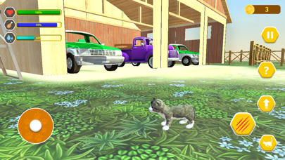 Cat Simulator: kitty cat girl Screenshot