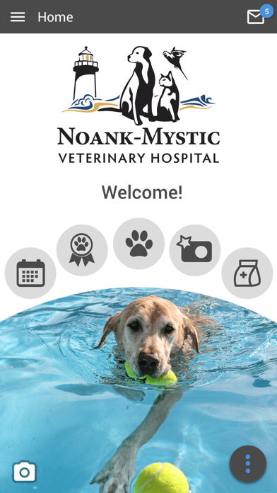Noank-Mystic Vet Hospital Screenshot