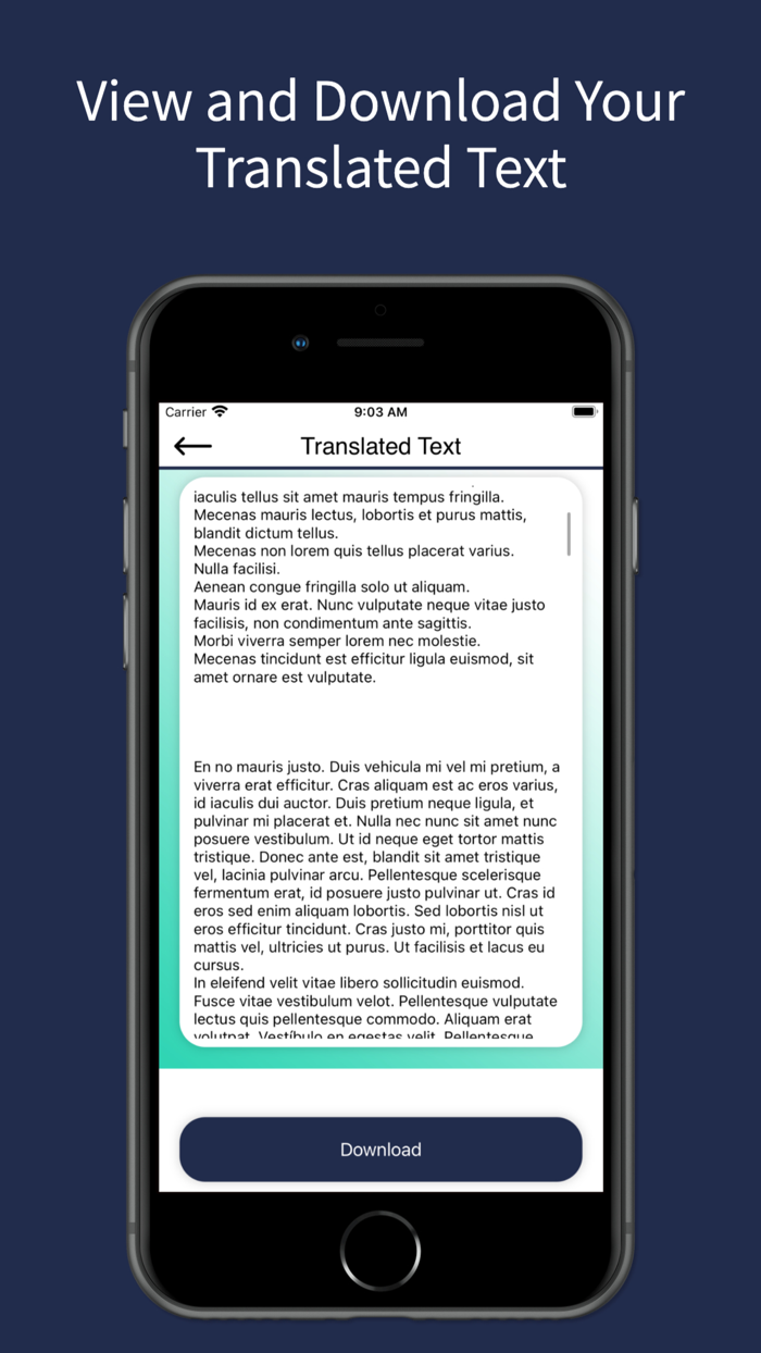 Document Language Translator