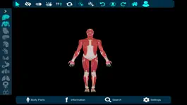 Game screenshot Vesalii Anatomy Inst Student apk