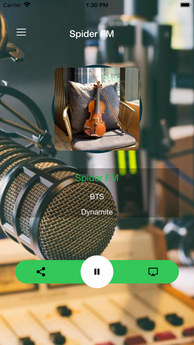 Screenshot #1 pour Spider FM
