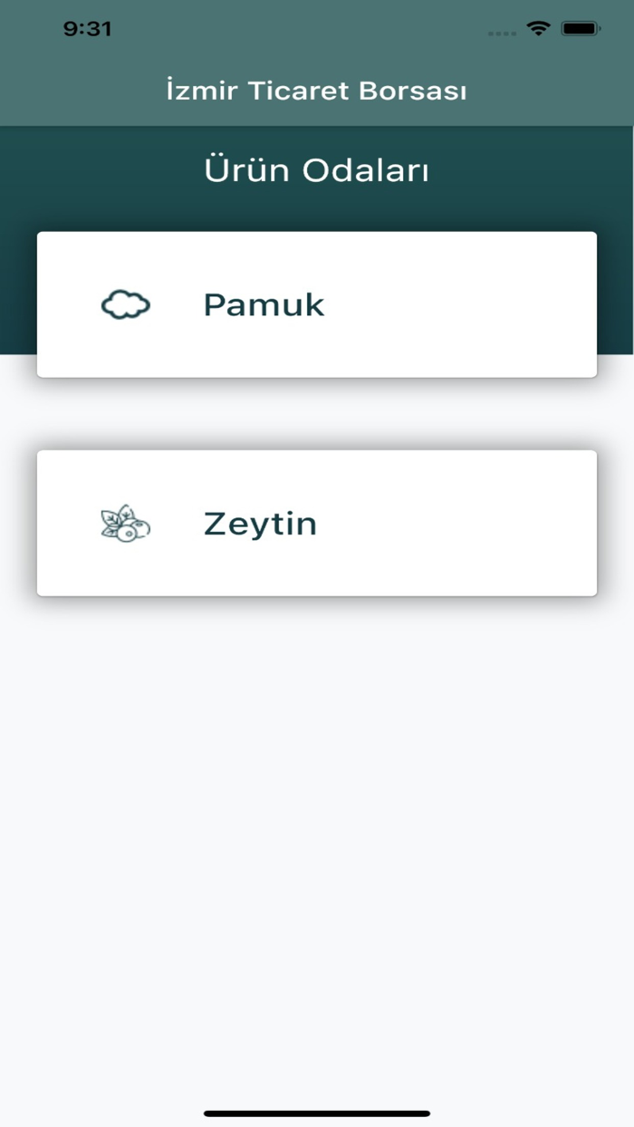 İzmir Salon Satış