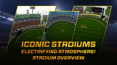 Meta Cricket League - NFT Game Screenshot