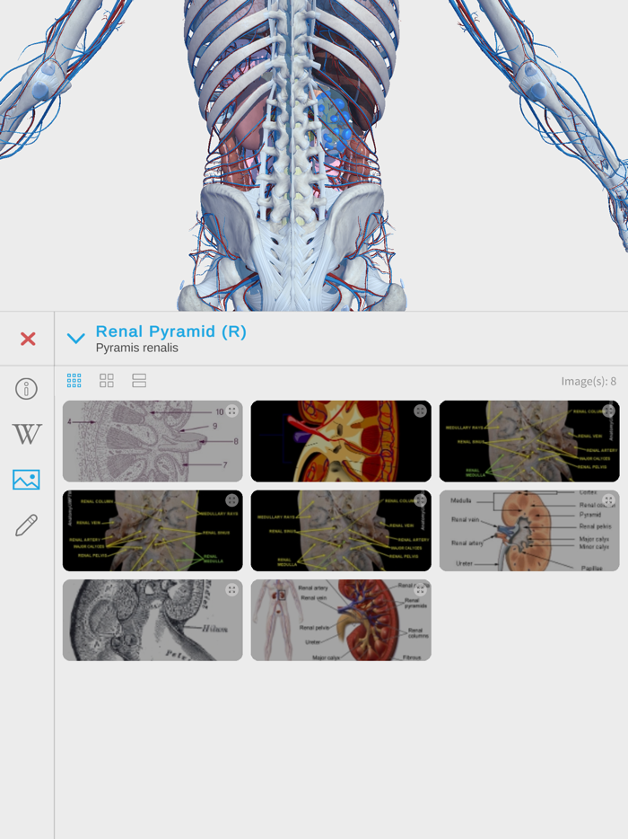 Visual Anatomy 3D - Human