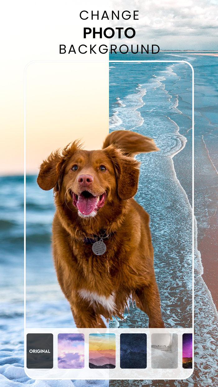 Reverse Movie - Magic Effects