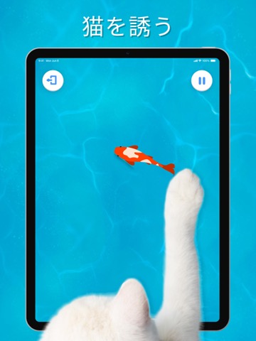 猫のためのゲーム - ねこのゲーム アプリのおすすめ画像3
