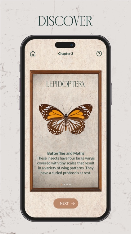 LKCNHM* screenshot-3