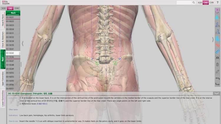 Extra Acupoints screenshot-4