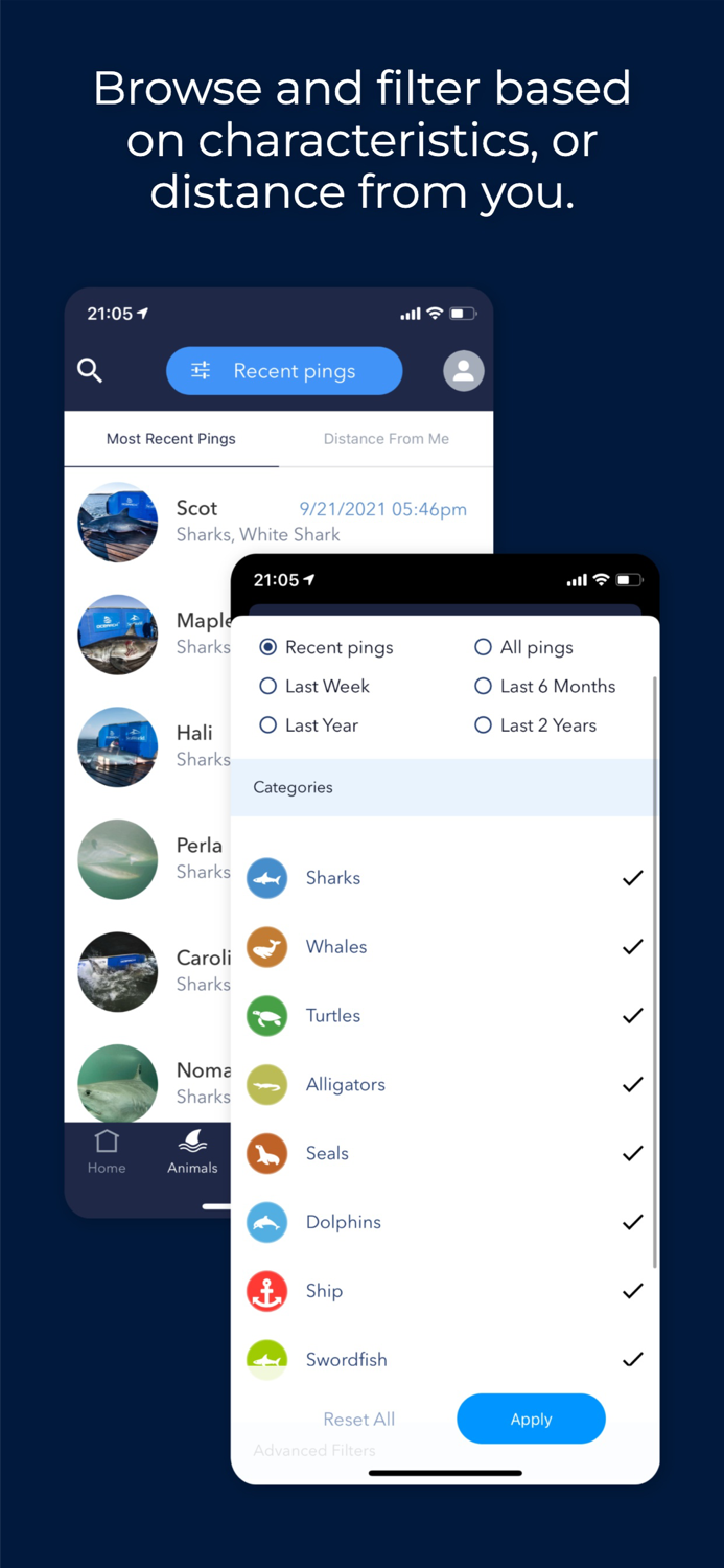 OCEARCH Shark Tracker