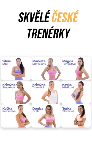 Online Fitness Screenshot