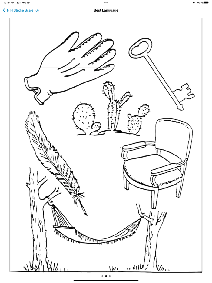 NIH Stroke Scale Calculator