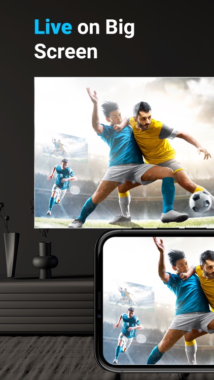 Screen Mirroring Smart View screenshot-6