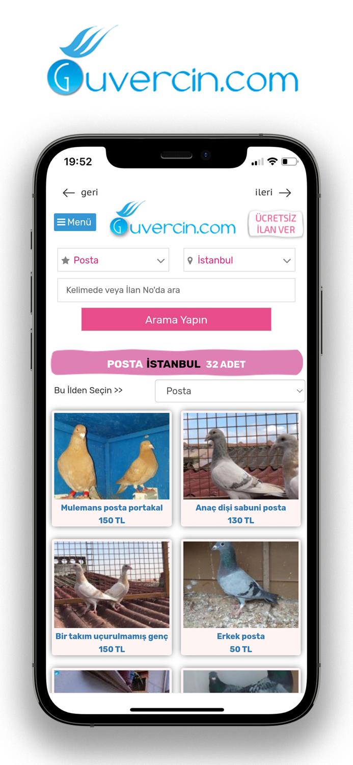 GUVERCiN.COM Güvercin İlanları