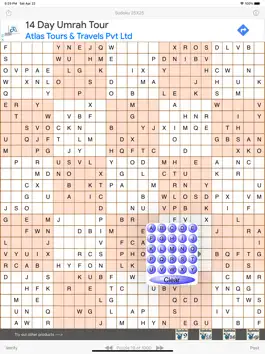 Game screenshot Sudoku 25x25 hack