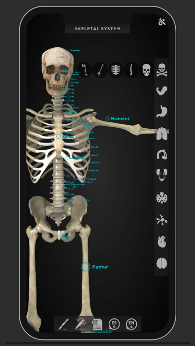 Virtual Medical Anatomy Screenshot