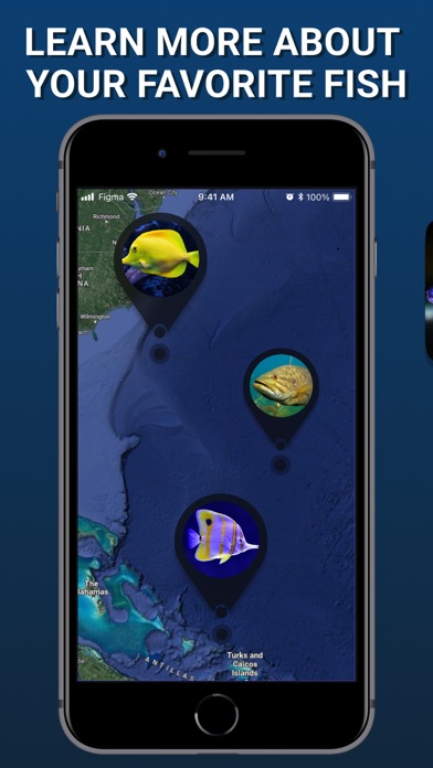 Fish Finder & Identifier App Screenshot