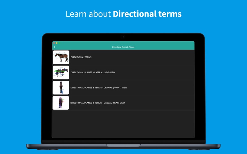 equine anatomy learning iphone screenshot 2