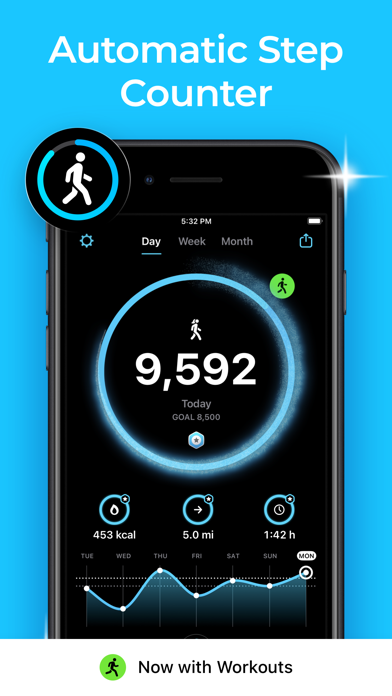 StepsApp Pedometer Screenshot