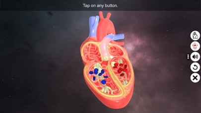 Screenshot #1 pour Double Circulation