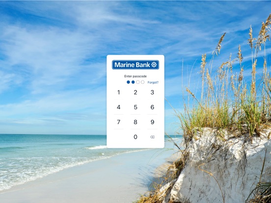 Marine Bank Mobile Banking iPad screenshot 2 - Finance app