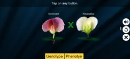 Game screenshot Test Cross: pea flower mod apk