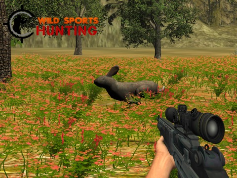 Wild Sport Hunting Sniper Gameのおすすめ画像2