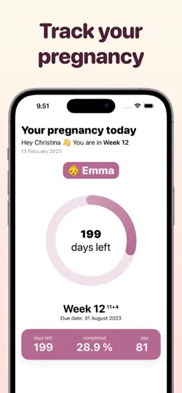 Game screenshot Pregnancy Tracker Countdown apk