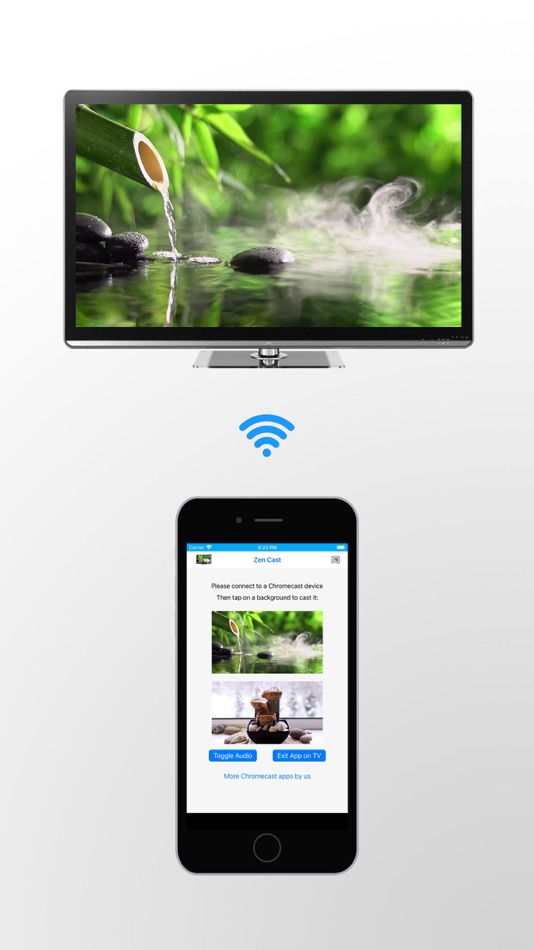 Relaxing Zen Backgrounds on TV - 1.0 - (iOS)