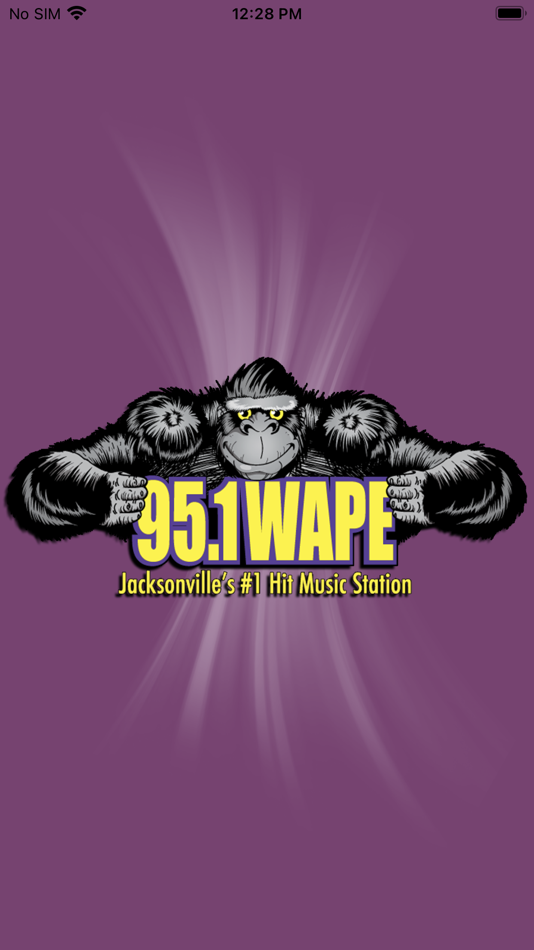 95.1 WAPE Jacksonville's #1 - 11.17.60 - (iOS)