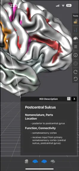 Game screenshot Brain Tutor 3D apk