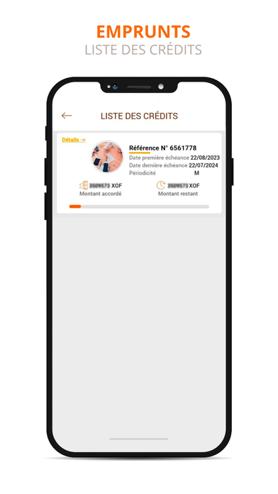 BIA Niger Mobile Screenshot