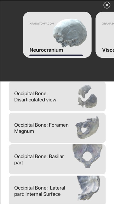 3D Osteology Screenshot
