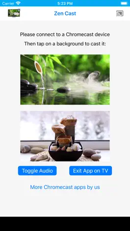 Game screenshot Relaxing Zen Backgrounds on TV apk