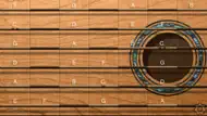 IFretless Guitar iphone bilder 0