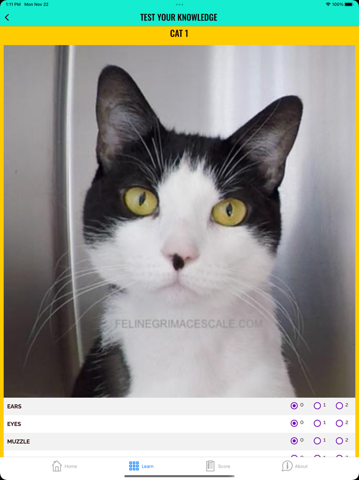 Feline Grimace Scale